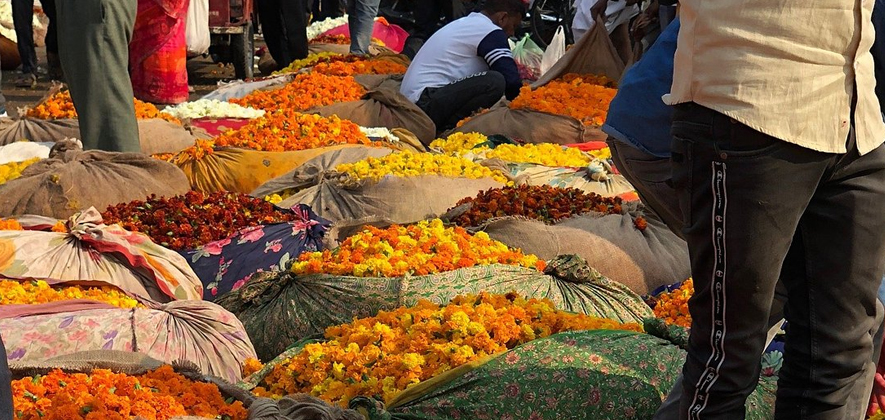 Fresh flowers and vegetables Jaipur