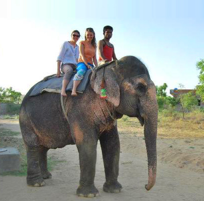 Jaipur Elephant Village Tour