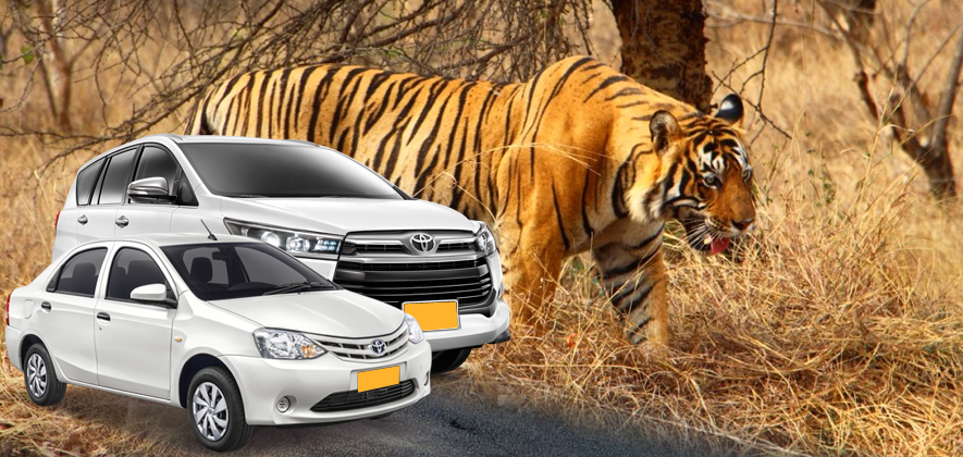 Jaipur to Ranthambore Taxi Service